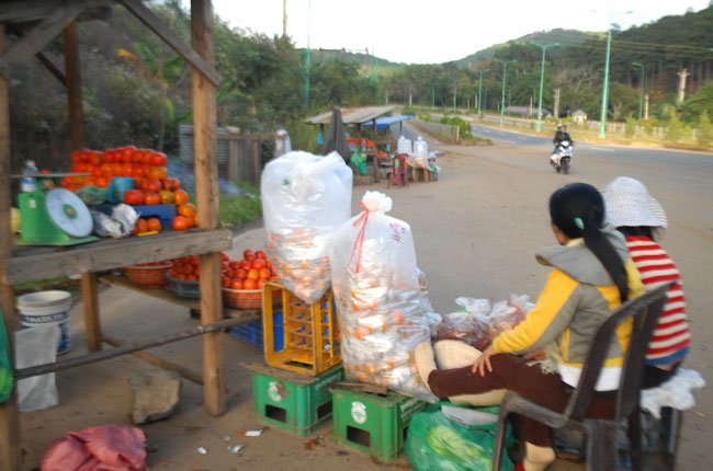 Phận “đứng đường” của hồng giòn Đà Lạt