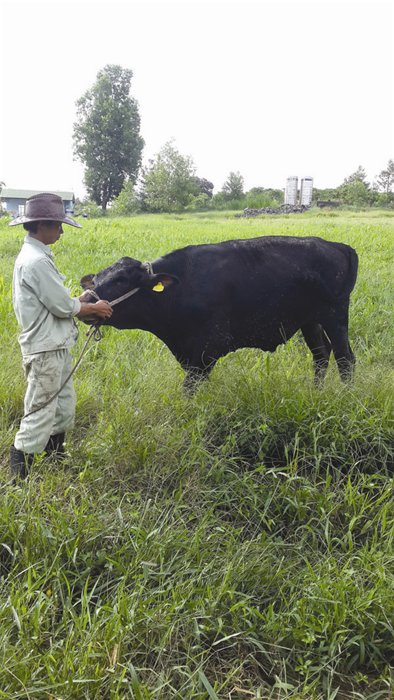 Những người 