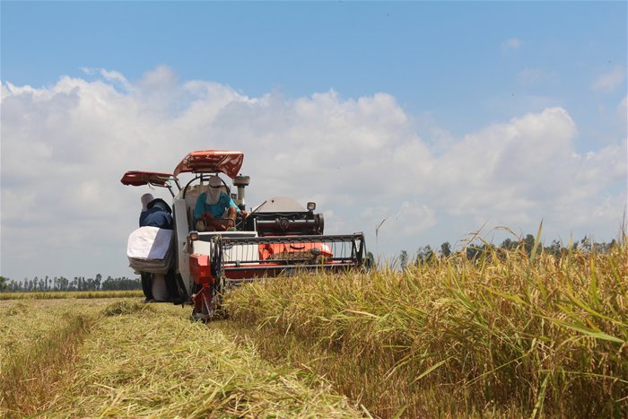 Để thu hút đầu tư vào nông nghiệp, Việt Nam phải giải được bài toán tích lũy ruộng đất, tạo điều kiện cho doanh nghiệp tham gia sâu vào chuỗi sản xuất nông nghiệp - Ảnh: NH