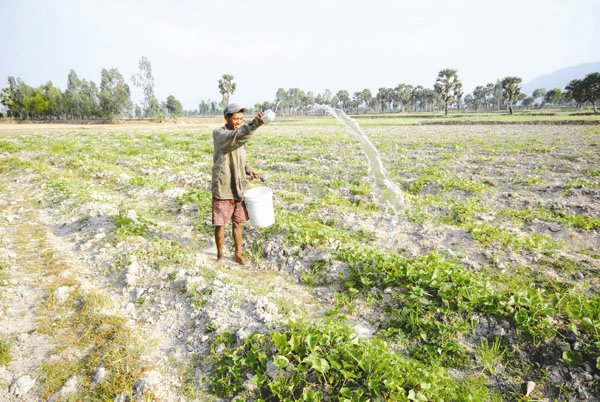 Hạn hán và xâm nhập mặn đang đe dọa sản xuất nông nghiệp và sinh hoạt của người dân ĐBSCL. Ảnh: LÊ HOÀNG VŨ