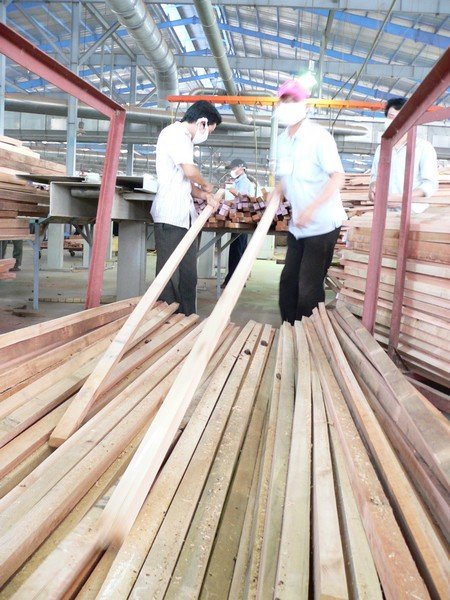 Vifores: Nhập khẩu gỗ nguyên liệu sẽ giảm