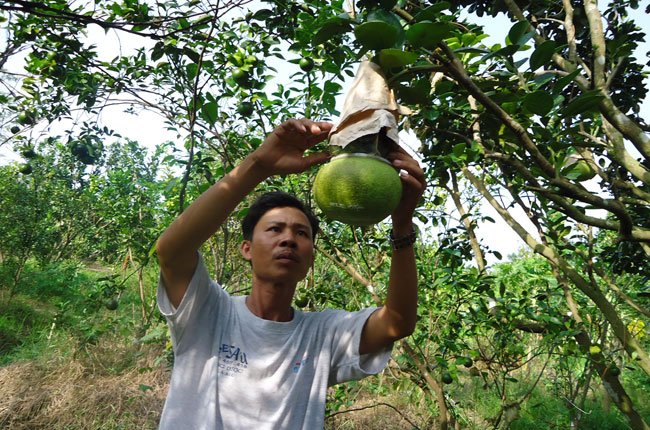 Vào mùa “chế tác hàng độc” phục vụ tết