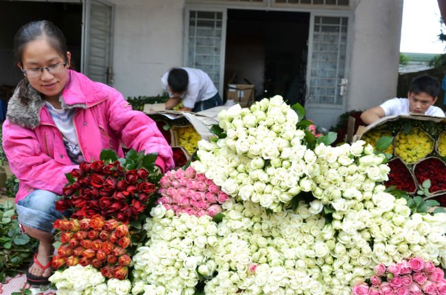 Hoa Đà Lạt khi tiêu thụ buộc phải dán tem