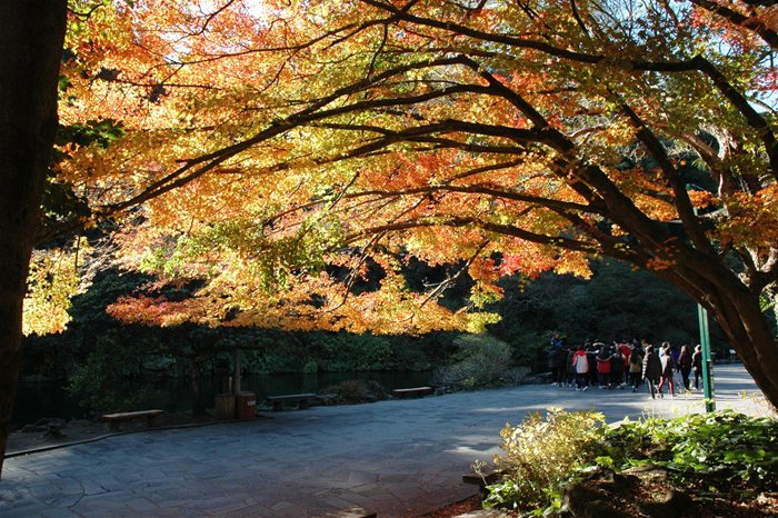 Làm du lịch kiểu Hàn Quốc Làm du lịch kiểu Hàn Quốc