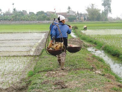 Phạt cảnh cáo nếu không ký hợp đồng với người giúp việc nhà