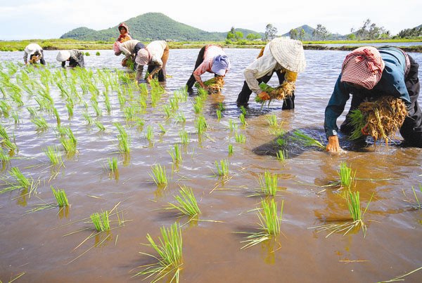 Quan trọng như con số về thất nghiệp, nhưng…