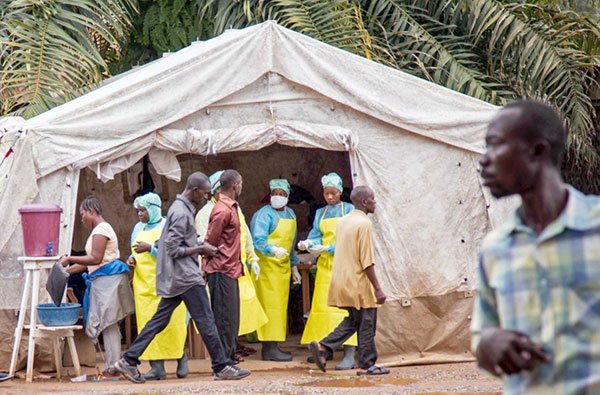 Theo dấu vết dịch Ebola