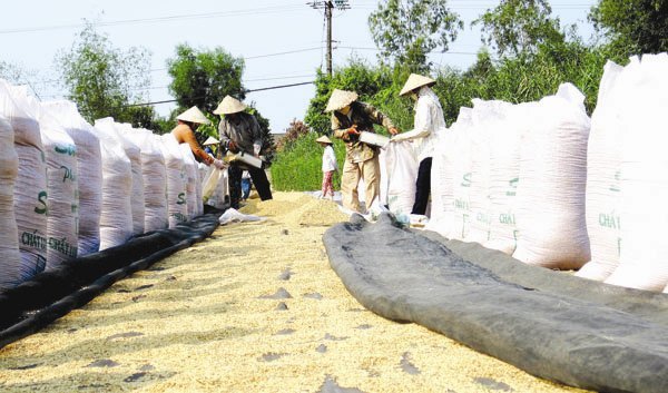Kinh tế tư nhân vẫn bị hắt hủi