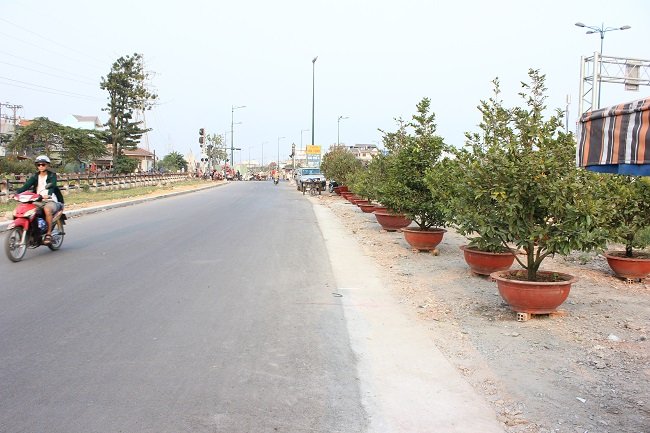 Chợ mai tết Kha Vạn Cân: Người bán lo 