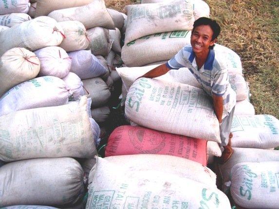 Đề xuất mua tạm trữ một triệu tấn gạo từ đầu tháng 3