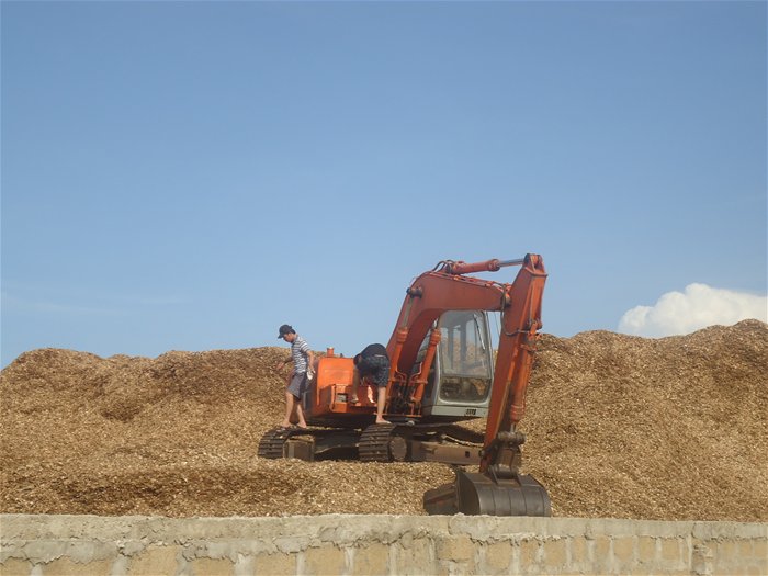 Dăm gỗ xuất khẩu không bắt buộc kiểm dịch