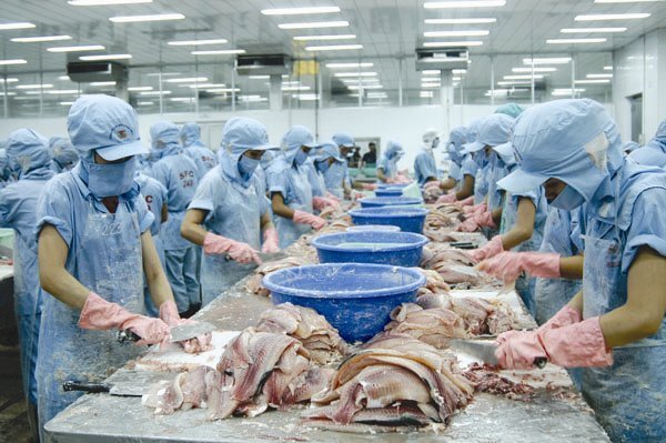 EU: Việt Nam mới đạt 1 trong 5 tiêu chí về kinh tế thị trường