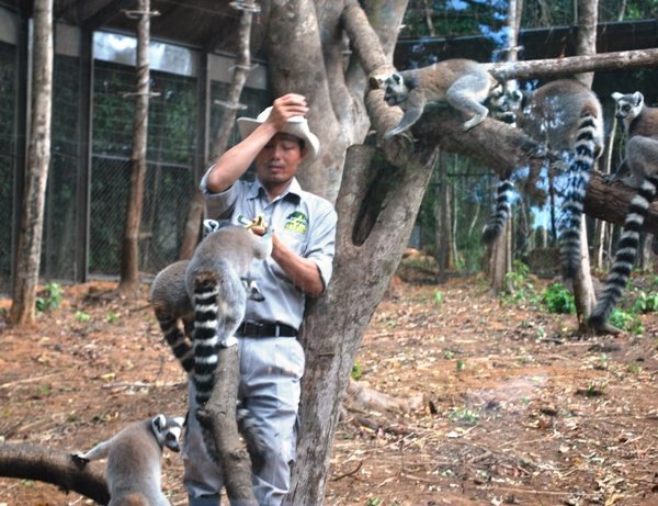 Khai trương “sở thú” Vinpearl Safari Phú Quốc