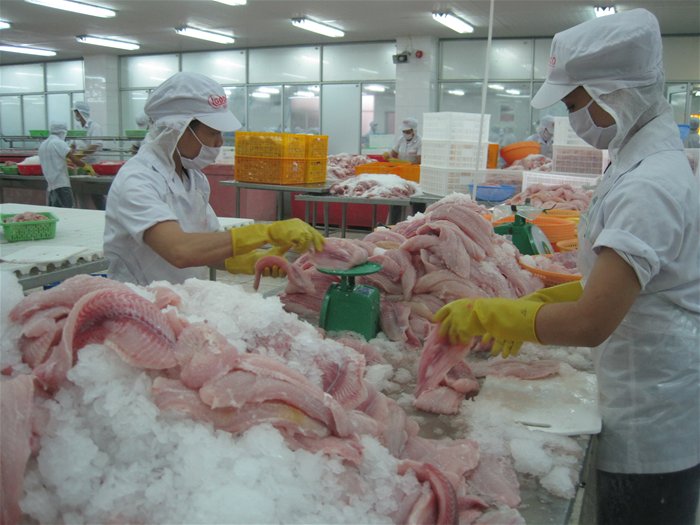 Có 23 nhà máy cá tra đủ điều kiện xuất khẩu sang Mỹ