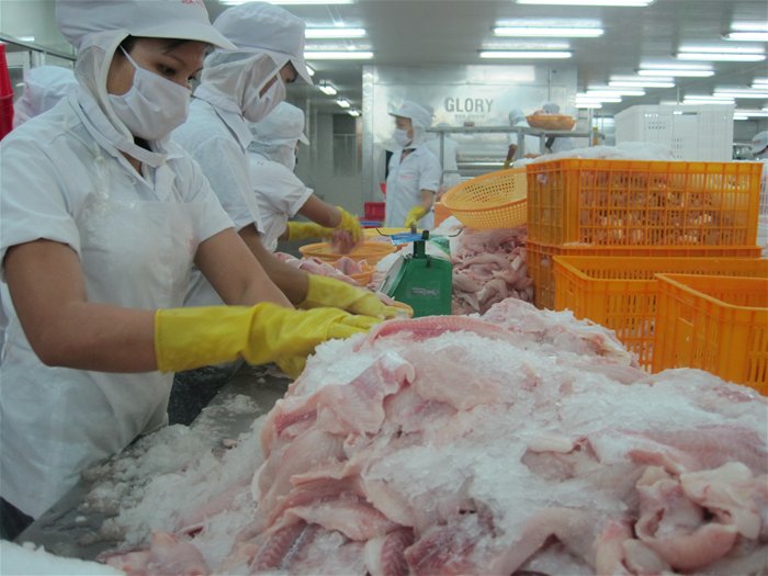 Mỹ cảnh báo cá da trơn Việt Nam nhiễm chất cấm