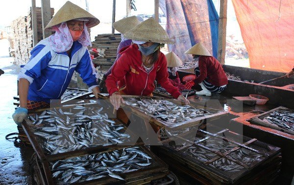 Bộ Y tế yêu cầu kiểm tra mẫu cá chứa phenol