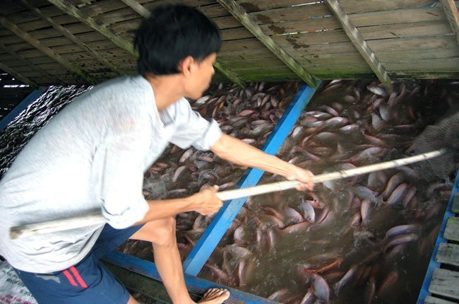 Nafiqad đính chính thông tin vụ cảnh báo oan Saigon Food