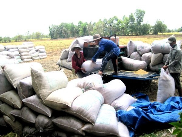 Ngăn gian lận trong thương mại với Liên minh Kinh tế Á-Âu