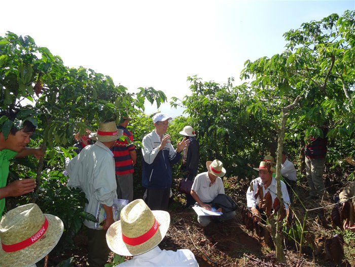 Tata Coffee sẽ xây nhà máy cà phê hòa tan tại Việt Nam