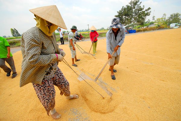 Sắp xếp DNNN: sao vẫn cứ dùng dằng?