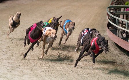 Đủ 21 tuổi sẽ được đặt cược bóng đá quốc tế