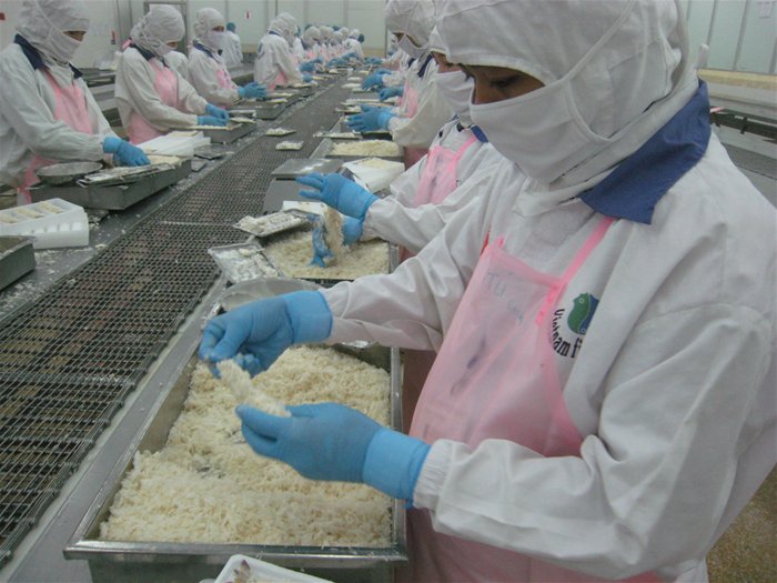 EU sẽ điều tra gian lận thương mại xuất khẩu tôm Việt Nam 