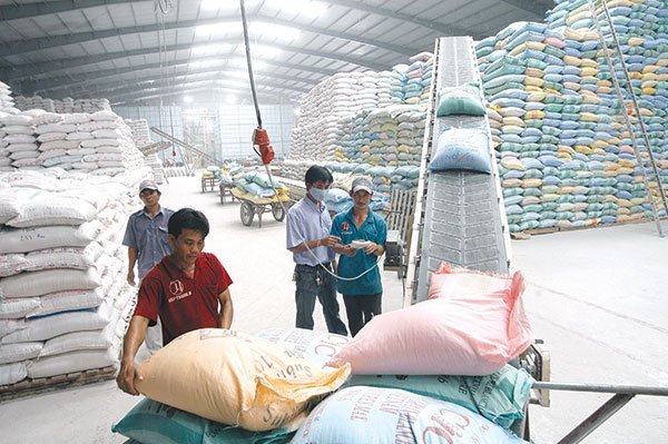 Kiến nghị sửa đổi cơ bản Nghị định 109 về xuất khẩu gạo