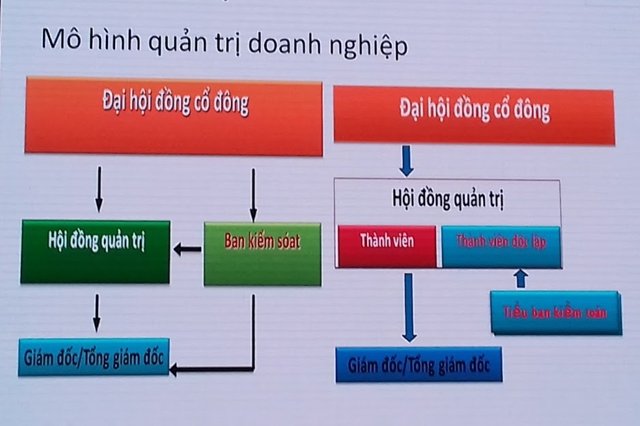 Cơ cấu tổ chức và mô hình quản lý của công ty cổ phần