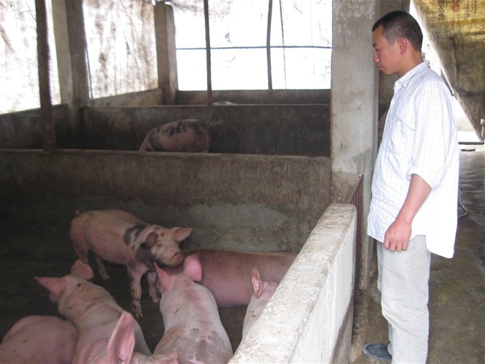 Gian nan xuất khẩu thịt Gian nan xuất khẩu thịt