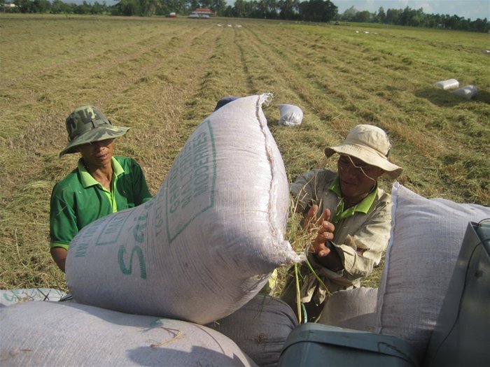 Tăng thu nhập cho nông dân, áp dụng công nghệ vẫn chưa đủ