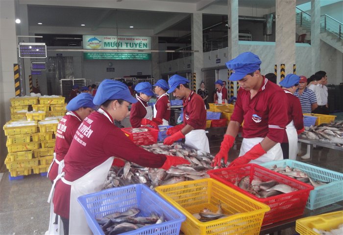 TPHCM, Bình Thuận hợp tác sản xuất, tiêu thụ nông thủy sản an toàn