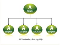 Thuyết trình qtth  PDF