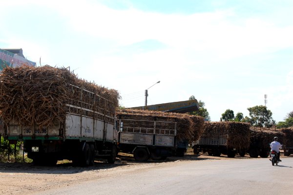 “Bán mình” hay đóng cửa?