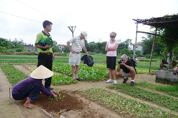 Ngành du lịch địa phương: 