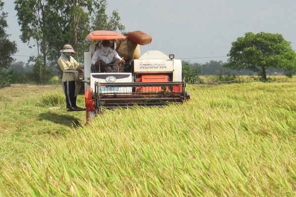 Tăng trưởng kinh tế miền Tây đang… “chậm dần”