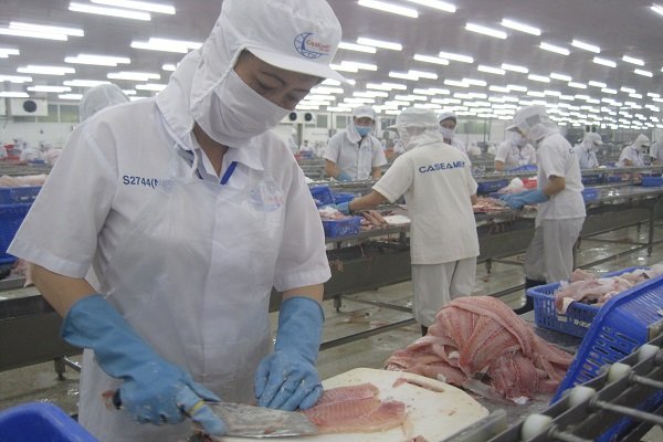 Vẫn chưa rõ lý do Ả Rập Saudi “cấm cửa” thủy sản Việt Nam