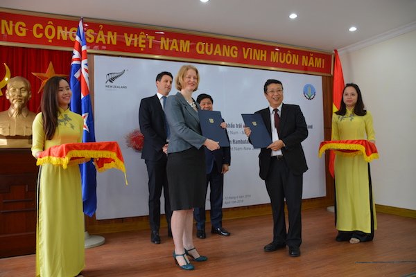 Chôm chôm chuẩn bị vào New Zealand sau 7 năm đàm phán