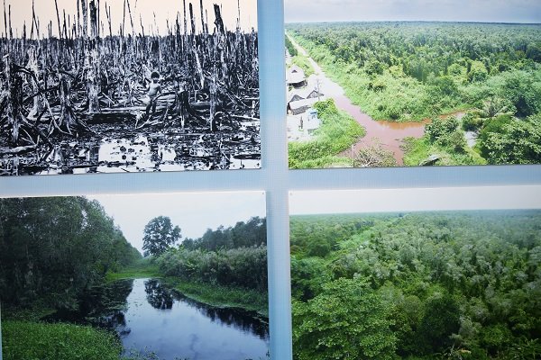 Hồi sinh những vùng đất chết Hồi sinh những vùng đất chết