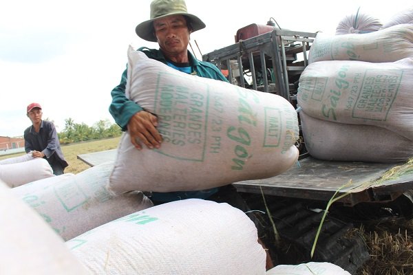 Hạ giá, Việt Nam trúng thầu bán gạo cho Philippines