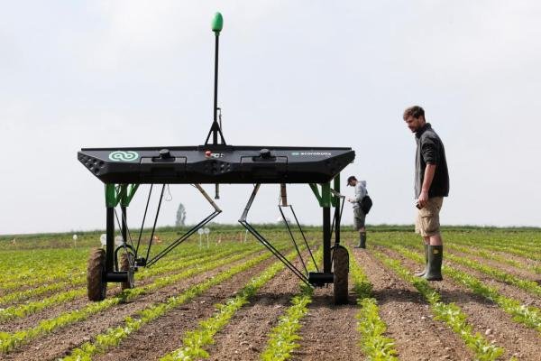Robot diệt cỏ đe dọa “nồi cơm” các tập đoàn hóa chất