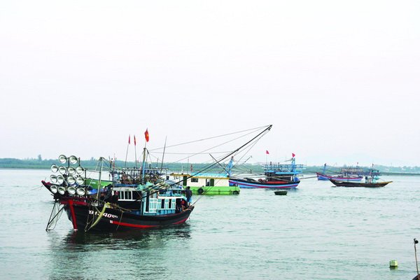 Rộn ràng bến cá Duy Hải