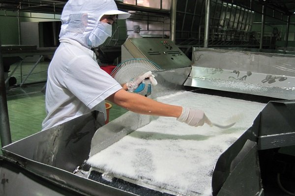 Công nghệ chế biến nông sản Việt chỉ đạt mức trung bình thế giới