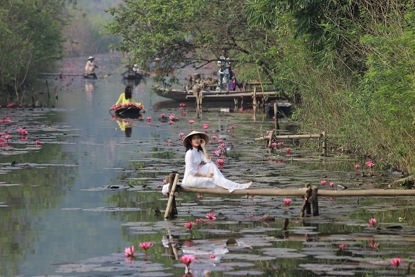 Suối Yến mùa hoa súng