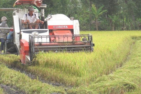 Đầu tư khoa học trong nông nghiệp: Chỉ bằng 1/10 Thái Lan