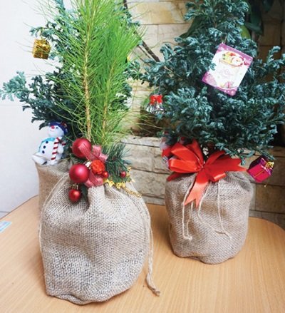 Chọn mua quà tặng mùa Giáng sinh