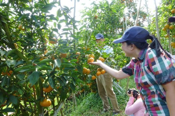 Cuối năm bàn chuyện làm nông