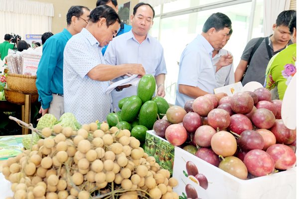 Cần thay đổi tư duy sản xuất nông sản để cạnh tranh