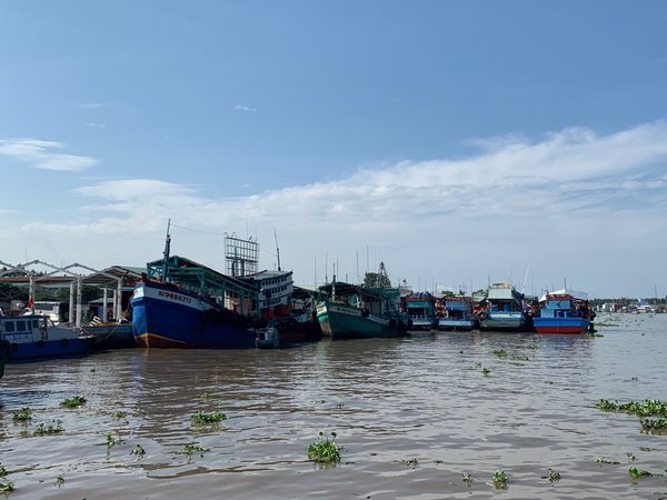 Kiên Giang: Cả ngàn tàu cá nằm bờ, ngành đánh bắt nguy cơ mai một