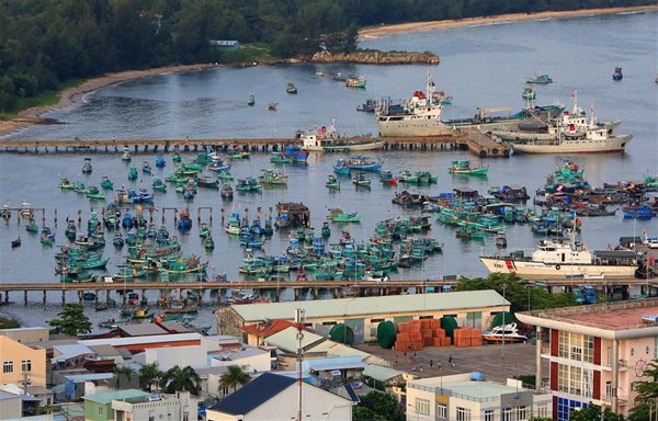 Kiên Giang hướng đến khai thác hải sản bền vững