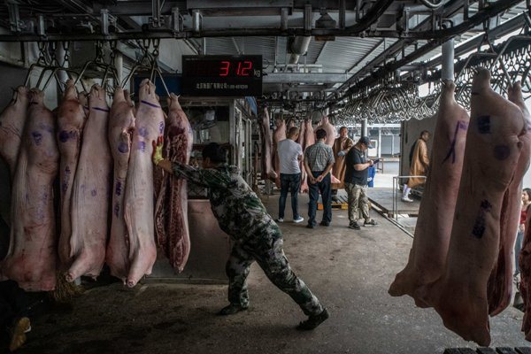 Trung Quốc vận hành kho dự trữ thịt heo như thế nào?